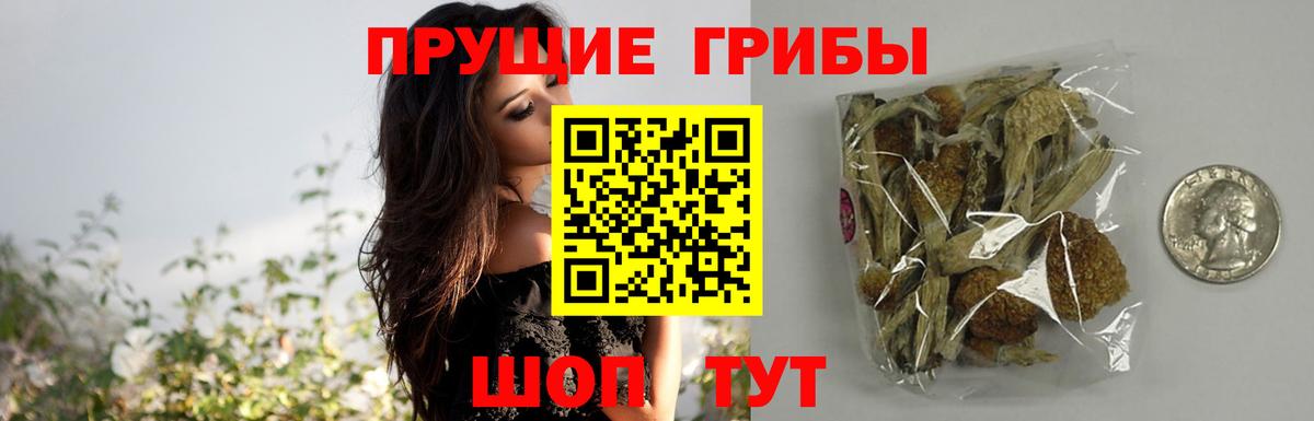 Галлюциногенные грибы прущие грибы  Вход с VPN  Псилоцибиновые грибы ЛСД  Дедовск 